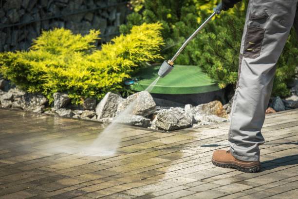 Best Playground Equipment Cleaning  in Lynbrook, NY
